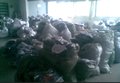 供应威牌公司倒闭55000条牛仔裤衣裙清仓