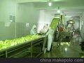 SP-II型脱水蔬菜水果前处理生产线