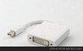 DisplayPort mini di display