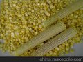 供应河南郑州博威斯BVS-268嫩玉米脱粒机