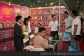 供应2013上海玩具展会