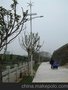 光芒牌微风启动直流输出风力发电机M300路灯风机