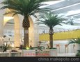 实体店特价仿真海枣树 耐用抗氧化 室内外装饰必备佳品 仿真