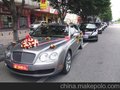 供应宾利-豪华婚车出租 