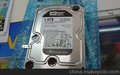 WD西部数据 500GB 7200转 16MB蓝盘台式机电脑硬盘