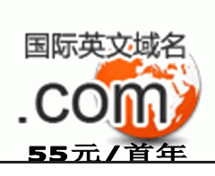 英文域名,什么是英文域名  第1张