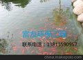 供应锦鲤鱼池生物净化过滤设备技术