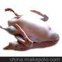 鹅肫 鹅爪 鹅胗 鹅舌 整鹅