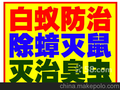深圳专业杀白蚁公司 家庭灭白蚁白蚁防治费 家庭白蚁防治费