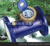 可拆式法兰水表