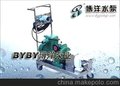 供应上海博洋水泵厂不锈钢转子泵