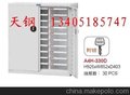 供应天钢文件柜，A4H-330D带门文件柜，金华30抽文件