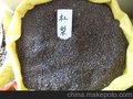 江苏供应绿化苗木杜梨种子