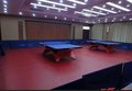 乒乓球地胶 乒乓球地板