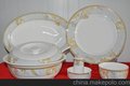 供应陶瓷餐具 金钗带底色
