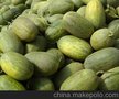 供应陕西哈密瓜价格/哈密瓜基地/陕西温棚哈密瓜批发