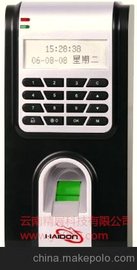(yng)HL-300TC(j)