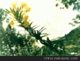 ˎ្S(chng)(zhun)I(y)a(chn)Ҋ(jin)ُl(f)Ҋ(jin)
