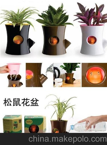 辦公盆栽 松鼠花盆 辦公調(diào)節(jié) 綠色植物 DIY植物 防輻射植物圖片