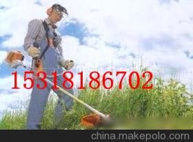 (yng)ǧﱳؓ(f)ʽݙC(j)BG430
