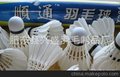 羽毛球批发 顺通201羽毛球 水鸭二级大方